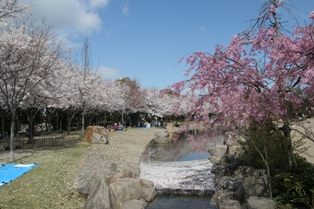 野添北公園の写真