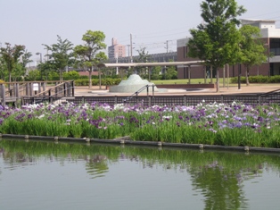 石ケ池公園の写真