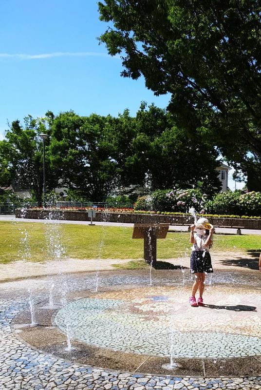 野添であい公園　初夏の風景